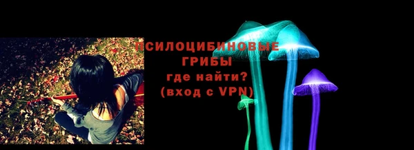мяу мяу мука Абаза
