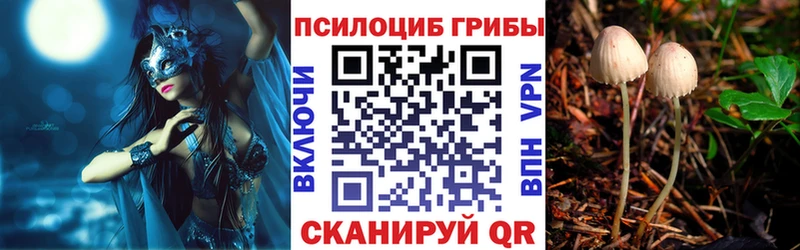 blacksprut ТОР  где можно купить   Волоколамск  Галлюциногенные грибы ЛСД 